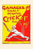 A cricket player going back for a strong hit. Poster Print by RIP - Item # VARBLL0587315733 A cricket player going back for a strong hit. Poster Print by RIP - Item # VARBLL0587315733