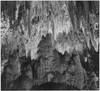 Formations along the wall of the Big Room near Crystal Spring Home Carlsbad Caverns National Park New Mexico. 1933 - 1942 Poster Print by Ansel Adams - Item # VARBLL0587401486