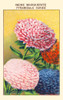 Queen Margaret's Pyramid Poster Print by unknown - Item # VARBLL0587409762