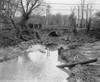 African Americans examine the build up of detritus from Flood in Washington, DC Poster Print - Item # VARBLL058750119L