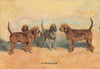 Dogs in the woods. Poster Print by T. Ivester Llyod - Item # VARBLL0587047348