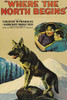 German Shepherds sit on a rock overlooking area Poster Print by Unknown - Item # VARBLL058762927L