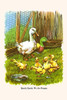 Quack Quack, We are Hungry Poster Print by Bird & Haumann - Item # VARBLL0587299525