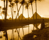 Cairo. The three pyramids seen through palm grove Poster Print - Item # VARBLL058753974L