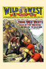 Raid in the Rockies Poster Print by Frank Tousey - Item # VARBLL0587378670