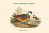 Phlogoenas Crinigera - Maroon-Breasted Pigeon Poster Print by John  Gould - Item # VARBLL0587319747