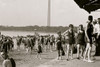 On the Beach at Washinton, DC's Tidal Basin Poster Print - Item # VARBLL058750018L
