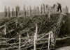 Germans Fixing barbed wire tangle Poster Print - Item # VARBLL058751575L