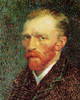 Vincent Van Gogh Poster Print - Item # VARBLL058750331L