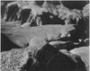 View from Yava Point rock formations and valley "Grand Canyon National Park" Arizona. 1933 - 1942 Poster Print by Ansel Adams - Item # VARBLL0587400668