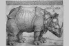 Rhinoceros woodcut.  Albrecht Durer was a German painter, printmaker and theorist from Nuremberg. Poster Print by Albrecht Durer - Item # VARBLL058760355L