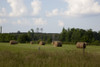 Hay bales dot the landscape of the 69.2 acre farm owned by Johnny and Chinita Hinton near Carrollton, Alabama Poster Print - Item # VARBLL058756218L