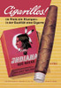 Vintage ad for cigarillos sold under the brand name "Red Indian" Poster Print by unknown - Item # VARBLL0587009454