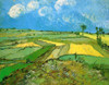 Wheat Fields at Auvers Under Clouded Sky Poster Print - Item # VARBLL058750463L