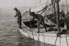 Fred, a young oyster fisher; working on an oyster boat in Mobile Bay, the Reef, near Bayou La Batre, said he was fourteen, but not likely Poster Print - Item # VARBLL058755105L