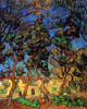 Trees in the Garden of Saint-Paul Hospital Poster Print - Item # VARBLL058750539L