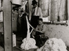 Newton Cotton Mill, Newton N.C. Boy at warping machine. Been there 2 years. Poster Print - Item # VARBLL058754949L