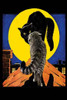 A familiar Halloween scene. Poster Print by Unknown - Item # VARBLL0587215755