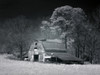 Barn, Dothan, Alabama Poster Print by Carol Highsmith - Item # VARBLL0587558482