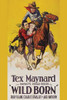 Cowboy riding racing horse pull another cowboy to safety Poster Print by Unknown - Item # VARBLL058762924L