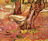 The Stone Bench in the Garden of Saint-Paul Hospital Poster Print - Item # VARBLL058750531L