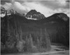 Stream in foreground with view of trees and snow on mountains. "Mountains - Northeast Portion Yellowstone National Park" Wyoming, Geology, Geological. 1933 - 1942 Poster Print by Ansel Adams - Item # VARBLL0587401230