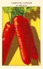 Meaux Carrots Poster Print by unknown - Item # VARBLL0587408979