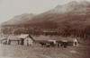 Mud Wagon/ Stagecoach At Log Cabins, Ca. 1880S. Poster Print by Armington - Item # VARBLL0587403527