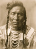 Strike On his Head, Crow Indian, Montana, head-and-shoulders portrait, facing front, loose forelock, braids, beaded buckskin shirt, beads and two large shell disks around neck Poster Print - Item # VARBLL058747510L