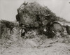 German observation post destroyed Poster Print - Item # VARBLL058751463L