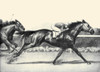 Illustration from the book, "Black, Bay, and Chestnut; Profiles of Twenty Favorite Horses" by C.W. Anderson. Poster Print by C.W. Anderson - Item # VARBLL0587407824