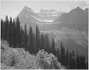 Trees and bushes in foreground mountains in background "In Glacier National Park" Montana. 1933 - 1942 Poster Print by Ansel Adams - Item # VARBLL0587400358