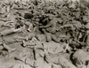 German prisoners resting Poster Print - Item # VARBLL058751448L