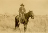 Cowboy, 1898. Photographed In 1898 Atop His Horse, A Young Man In Suit Jacket And Knee-High Leather Boots Poses With Several Wood-Frame Buildings In The Background. Poster Print - Item # VARBLL0587404175