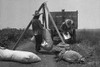Cotton weighing. South Texas Poster Print by Dorothea Lange - Item # VARBLL0587240636