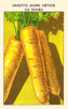Yellow carrots Poster Print by unknown - Item # VARBLL0587408790