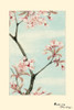 Japanese print of Drawing shows branch with leaves and cherry blossoms. Poster Print by Megata Morikaga - Item # VARBLL0587418966