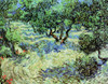 Olive Grove Poster Print - Item # VARBLL058750501L