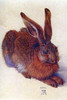 Field hare.  Albrecht Durer was a German painter, printmaker and theorist from Nuremberg. Poster Print by Albrecht Durer - Item # VARBLL0587264829