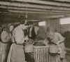 Eight-year-old Lizzie, earns 30 cents a day shucking oysters in the Dunbar Cannery. I saw her working steady all day, at top speed. Could not speak a word of English Poster Print - Item # VARBLL058755084L