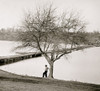 Pontoon bridge across the James River Poster Print - Item # VARBLL058753408L