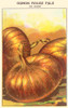 Red Onion Poster Print by unknown - Item # VARBLL0587409088