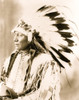 Half-length portrait of Dakota Indian man, facing slightly right, wearing feather headdress. Poster Print - Item # VARBLL058751197L