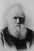Portrait of Charles Darwin Poster Print - Item # VARBLL058746205L