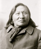 Rain in the Face, Indian, head-and-shoulders portrait, facing right. Poster Print - Item # VARBLL058751231L