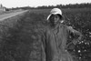 African American Sharecroppers Poster Print - Item # VARBLL058744866L