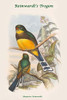 Harpactes Reinwardti Reinwardt's Trogon Poster Print by John  Gould - Item # VARBLL0587318708