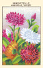 Mix of Annuals Poster Print by unknown - Item # VARBLL0587409843
