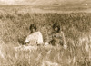 Two young Piegan women seated in tall grass. Poster Print - Item # VARBLL058747618L