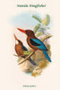 Halcyon Gularis - Manilla Kingfisher Poster Print by John  Gould - Item # VARBLL0587318147